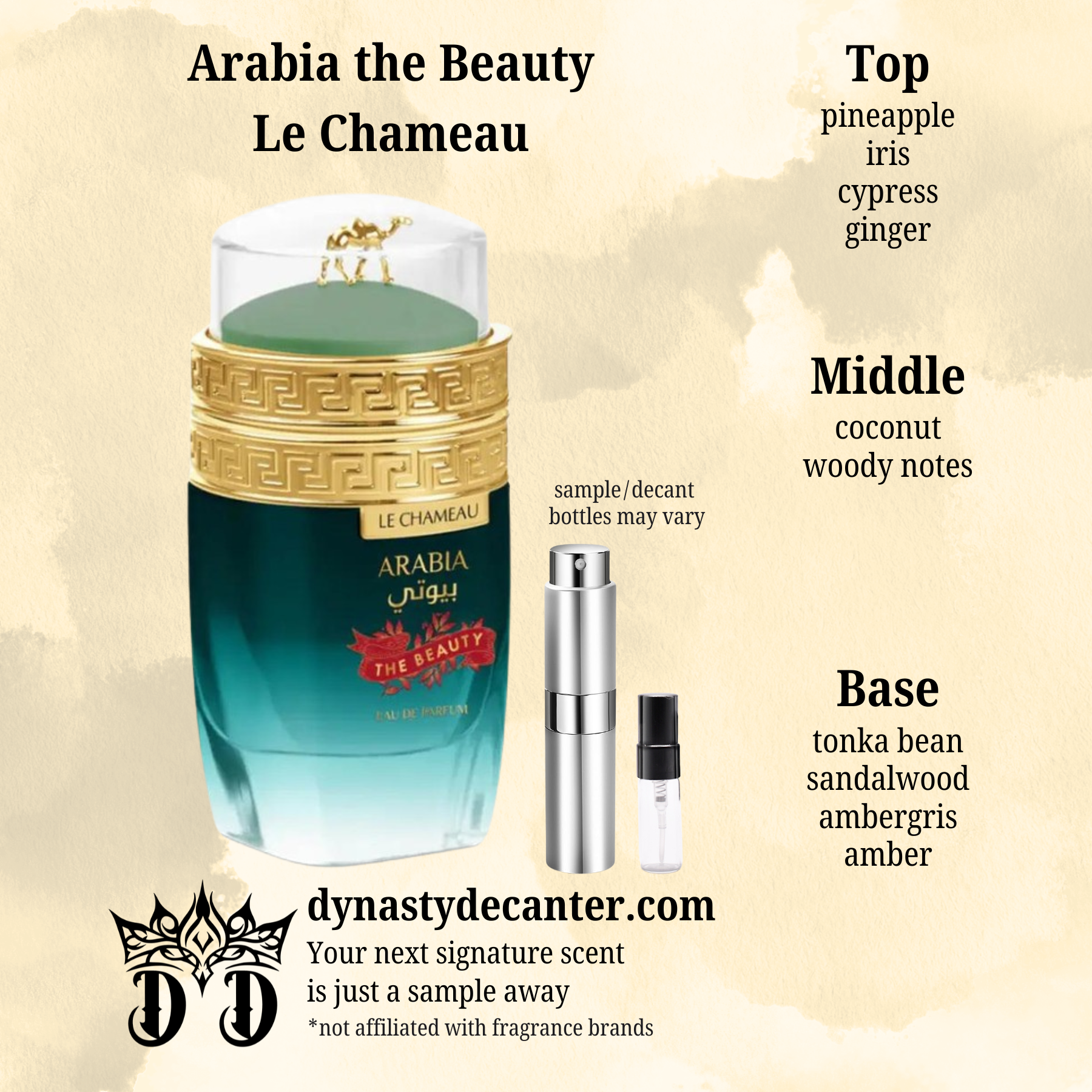 Arabia the Beauty - Le Chameau